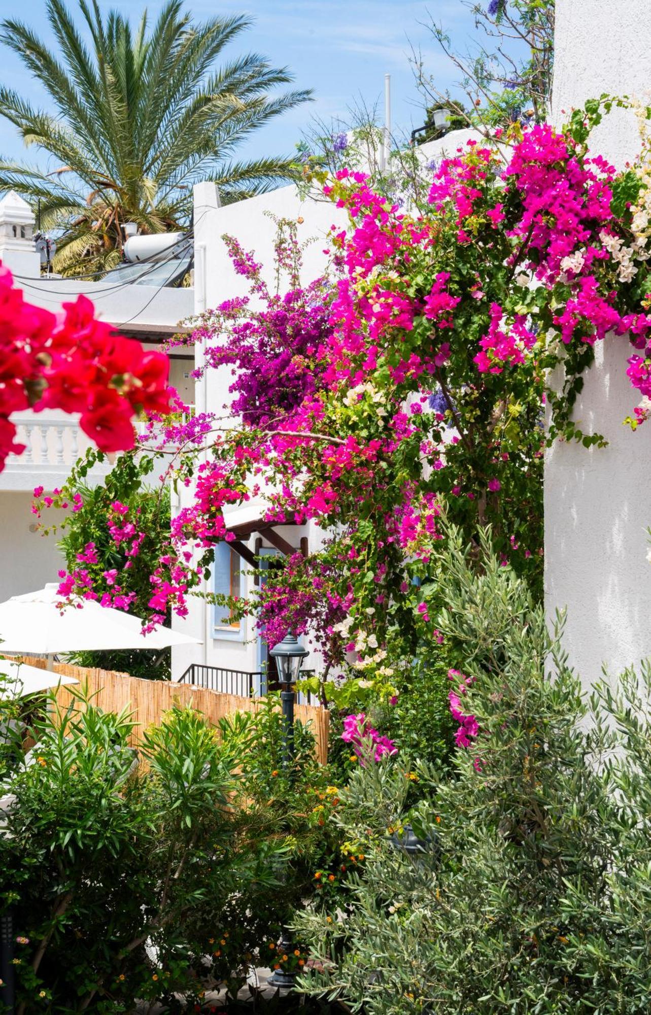 Manuela Boutique Hotel Bitez Eksteriør bilde